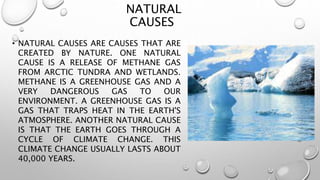 NATURAL
CAUSES
• NATURAL CAUSES ARE CAUSES THAT ARE
CREATED BY NATURE. ONE NATURAL
CAUSE IS A RELEASE OF METHANE GAS
FROM ARCTIC TUNDRA AND WETLANDS.
METHANE IS A GREENHOUSE GAS AND A
VERY DANGEROUS GAS TO OUR
ENVIRONMENT. A GREENHOUSE GAS IS A
GAS THAT TRAPS HEAT IN THE EARTH'S
ATMOSPHERE. ANOTHER NATURAL CAUSE
IS THAT THE EARTH GOES THROUGH A
CYCLE OF CLIMATE CHANGE. THIS
CLIMATE CHANGE USUALLY LASTS ABOUT
40,000 YEARS.
 