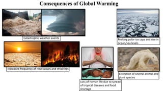Consequences of Global Warming
Catastrophic weather events Melting polar ice caps and rise in
ocean/sea levels
Increased frequency of Heat waves and Wild fires
Extinction of several animal and
plant species
Loss of human life due to spread
of tropical diseases and food
shortage
 