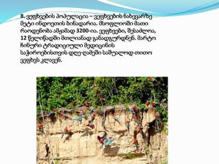 8. ვეფხვების პოპულაცია – ვეფხვების ნახევარზე
მეტი ინდოეთის ბინადარია. მსოფლიოში მათი
რაოდენობა ამჟამად 3200-ია. ვეფხვები, შესაძლოა,
12 წელიწადში მთლიანად განადგურდნენ. მარტო
ჩინური ტრადიციული მედიცინის
საჭიროებისთვის დღე-ღამეში საშუალოდ თითო
ვეფხვს კლავენ.
 