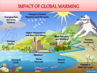 IMPACT OF GLOBAL WARMING