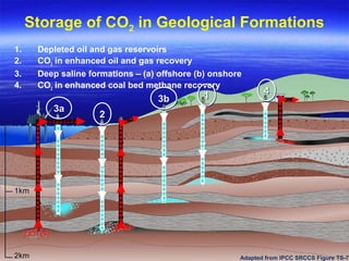 Storage of CO2 in Geological Formations
1. Depleted oil and gas reservoirs
2. CO2 in enhanced oil and gas recovery
3. Deep saline formations – (a) offshore (b) onshore
4. CO2 in enhanced coal bed methane recovery
Adapted from IPCC SRCCS Figure TS-7
3a3a
22
3b3b 11 44
 