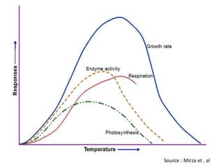 Source : Mirza et . al
 