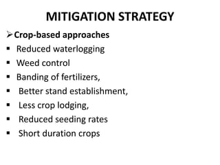 MITIGATION STRATEGY
Crop-based approaches
 Reduced waterlogging
 Weed control
 Banding of fertilizers,
 Better stand establishment,
 Less crop lodging,
 Reduced seeding rates
 Short duration crops
 