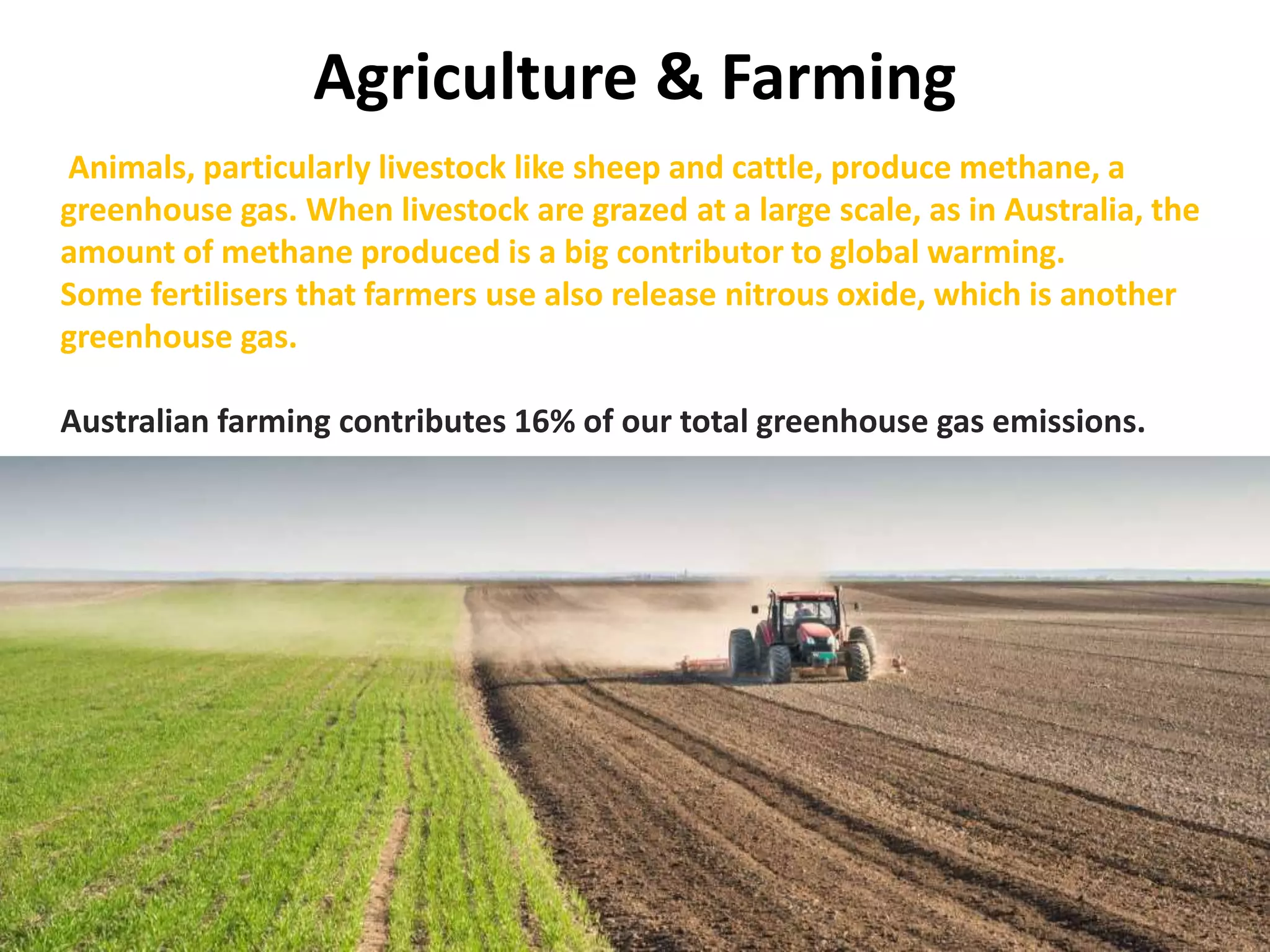 Agriculture & Farming
Animals, particularly livestock like sheep and cattle, produce methane, a
greenhouse gas. When livestock are grazed at a large scale, as in Australia, the
amount of methane produced is a big contributor to global warming.
Some fertilisers that farmers use also release nitrous oxide, which is another
greenhouse gas.
Australian farming contributes 16% of our total greenhouse gas emissions.
 
