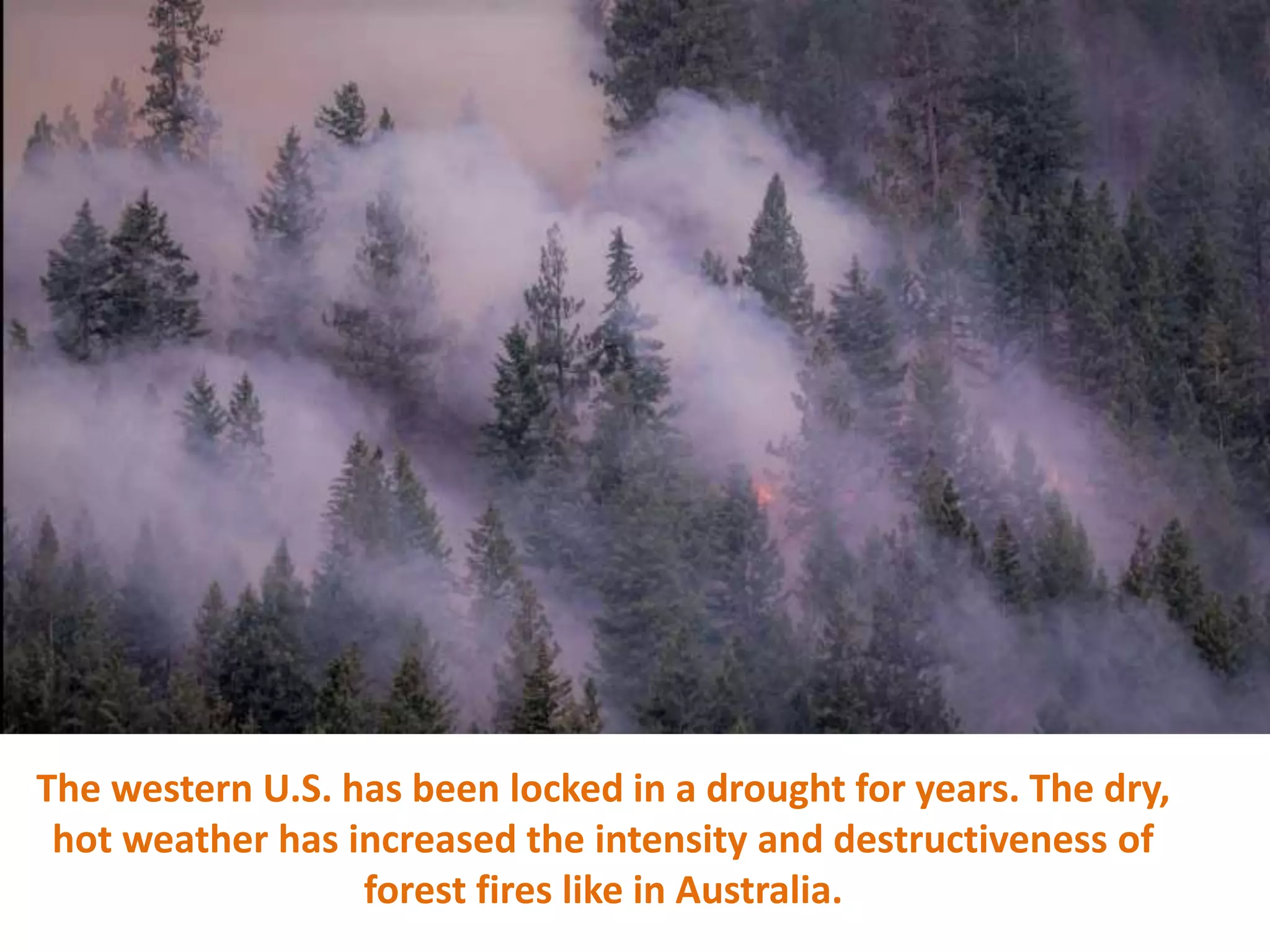 The western U.S. has been locked in a drought for years. The dry,
hot weather has increased the intensity and destructiveness of
forest fires like in Australia.
 