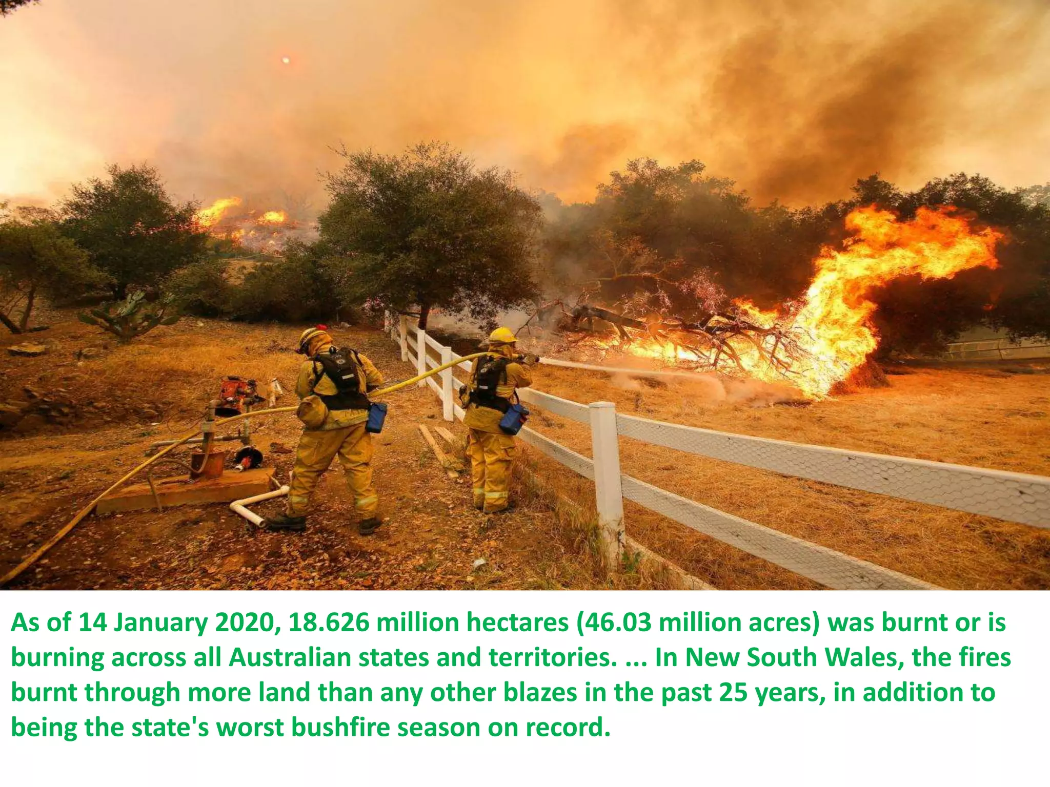 As of 14 January 2020, 18.626 million hectares (46.03 million acres) was burnt or is
burning across all Australian states and territories. ... In New South Wales, the fires
burnt through more land than any other blazes in the past 25 years, in addition to
being the state's worst bushfire season on record.
 