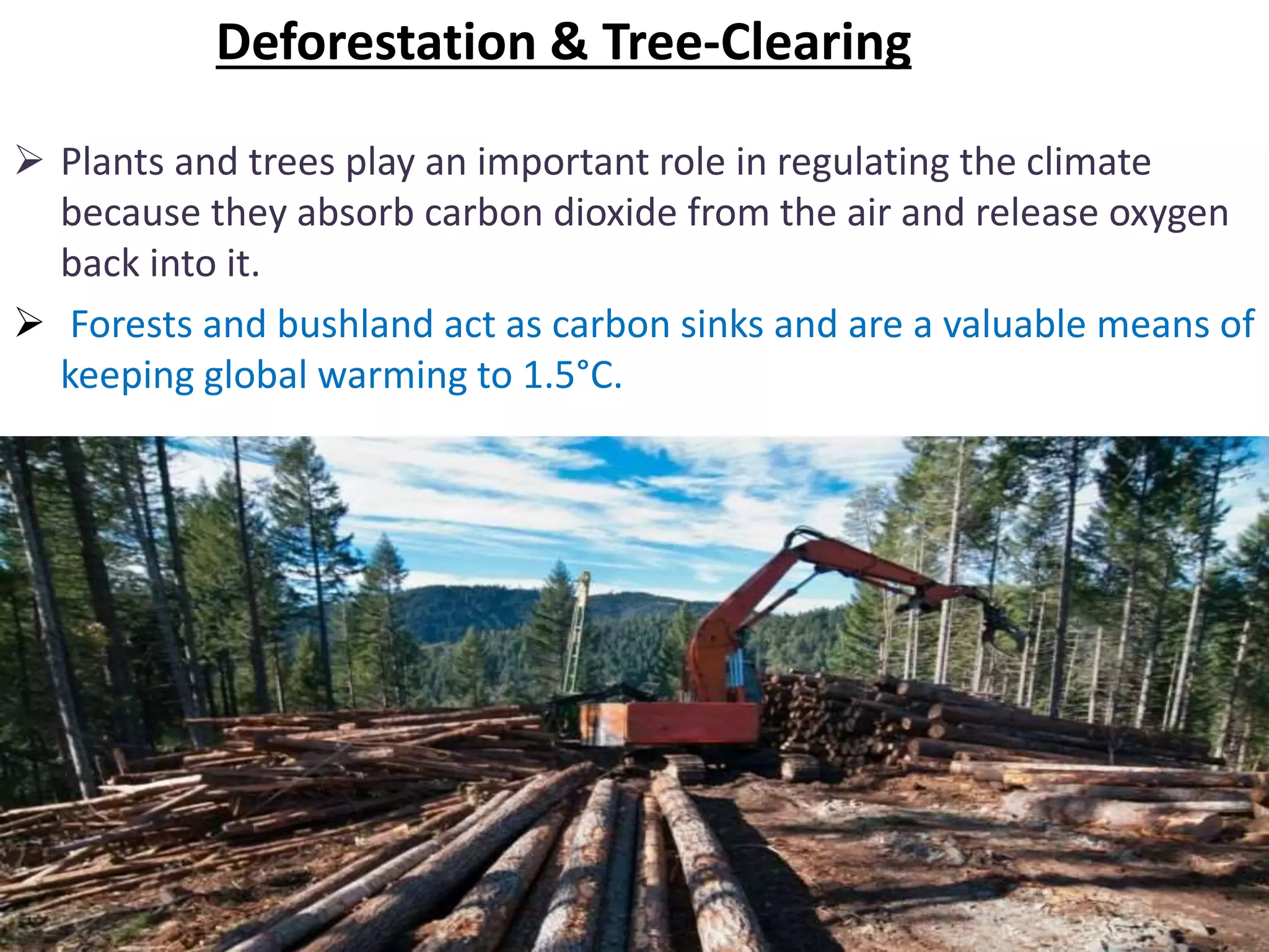 Deforestation & Tree-Clearing
 Plants and trees play an important role in regulating the climate
because they absorb carbon dioxide from the air and release oxygen
back into it.
 Forests and bushland act as carbon sinks and are a valuable means of
keeping global warming to 1.5°C.
 
