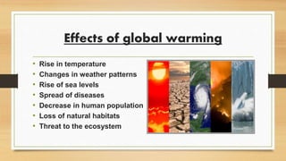 Effects of global warming
• Rise in temperature
• Changes in weather patterns
• Rise of sea levels
• Spread of diseases
• Decrease in human population
• Loss of natural habitats
• Threat to the ecosystem
 