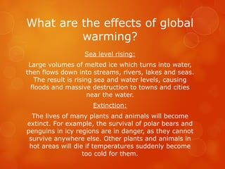 What are the effects of global
warming?
Sea level rising:
Large volumes of melted ice which turns into water,
then flows down into streams, rivers, lakes and seas.
The result is rising sea and water levels, causing
floods and massive destruction to towns and cities
near the water.
Extinction:
The lives of many plants and animals will become
extinct. For example, the survival of polar bears and
penguins in icy regions are in danger, as they cannot
survive anywhere else. Other plants and animals in
hot areas will die if temperatures suddenly become
too cold for them.
 