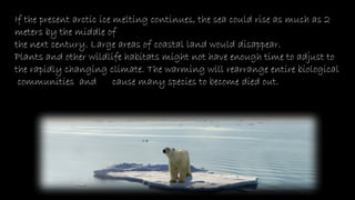 If the present arctic ice melting continues, the sea could rise as much as 2
meters by the middle of
the next century. Large areas of coastal land would disappear.
Plants and other wildlife habitats might not have enough time to adjust to
the rapidly changing climate. The warming will rearrange entire biological
communities and cause many species to become died out.
 