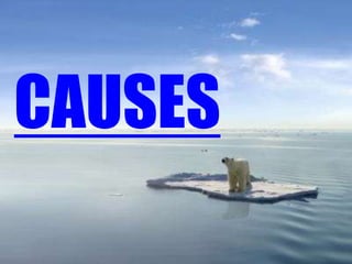 CAUSES
 