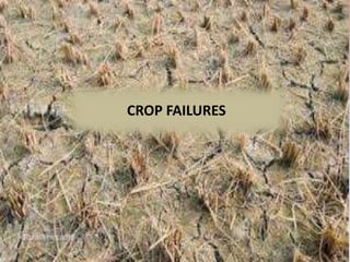 CROP FAILURES