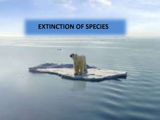 EXTINCTION OF SPECIES