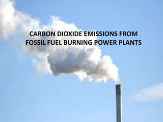 CARBON DIOXIDE EMISSIONS FROM
FOSSIL FUEL BURNING POWER PLANTS