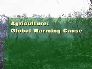 Agriculture:  Global Warming Cause 