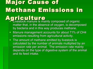 Major Cause of Methane Emissions in Agriculture Livestock manure is mainly composed of organic matter that, in the absence of oxygen, is decomposed by bacteria and in this way produces methane. Manure management accounts for about 71% of CH4 emissions resulting from agricultural activity. The amount of methane emitted by livestock is calculated by the number of animals multiplied by an emission rate per animal.  The emission rate mainly depends on the type of digestive system of the animal and its feed intake. 