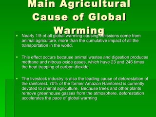 Main Agricultural Cause of Global Warming Nearly 1/5 of all global warming causing emissions come from animal agriculture, more than the cumulative impact of all the transportation in the world.  This effect occurs because animal wastes and digestion produces methane and nitrous oxide gases, which have 23 and 246 times the heat trapping of carbon dioxide. The livestock industry is also the leading cause of deforestation of the rainforest. 70% of the former Amazon Rainforest is currently devoted to animal agriculture.  Because trees and other plants remove greenhouse gasses from the atmosphere, deforestation accelerates the pace of global warming 