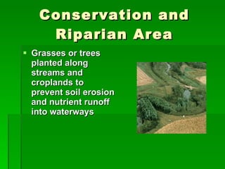 Conservation and Riparian Area Grasses or trees planted along streams and croplands to prevent soil erosion and nutrient runoff into waterways 