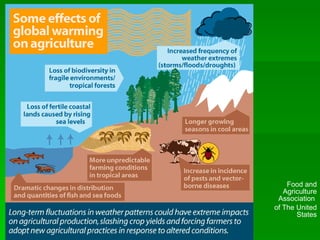 Food and Agriculture Association  of The United States 