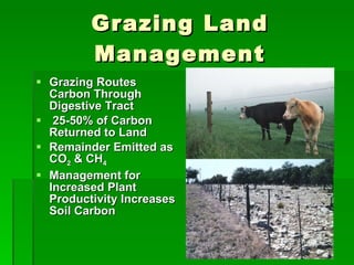 Grazing Land Management Grazing Routes Carbon Through Digestive Tract 25-50% of Carbon Returned to Land  Remainder Emitted as CO 2  & CH 4   Management for Increased Plant Productivity Increases Soil Carbon 
