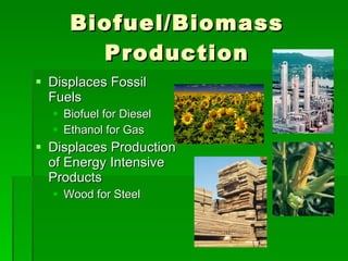 Biofuel/Biomass Production Displaces Fossil Fuels Biofuel for Diesel Ethanol for Gas Displaces Production of Energy Intensive Products Wood for Steel 