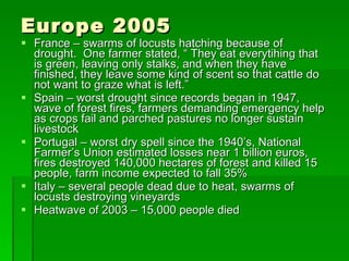 Europe 2005 France – swarms of locusts hatching because of drought.  One farmer stated, “ They eat everytihing that is green, leaving only stalks, and when they have finished, they leave some kind of scent so that cattle do not want to graze what is left.” Spain – worst drought since records began in 1947, wave of forest fires, farmers demanding emergency help as crops fail and parched pastures no longer sustain livestock Portugal – worst dry spell since the 1940’s, National Farmer’s Union estimated losses near 1 billion euros, fires destroyed 140,000 hectares of forest and killed 15 people, farm income expected to fall 35% Italy – several people dead due to heat, swarms of locusts destroying vineyards Heatwave of 2003 – 15,000 people died 