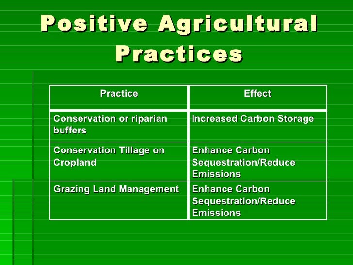 Global Warming 2003 Style Agriculture