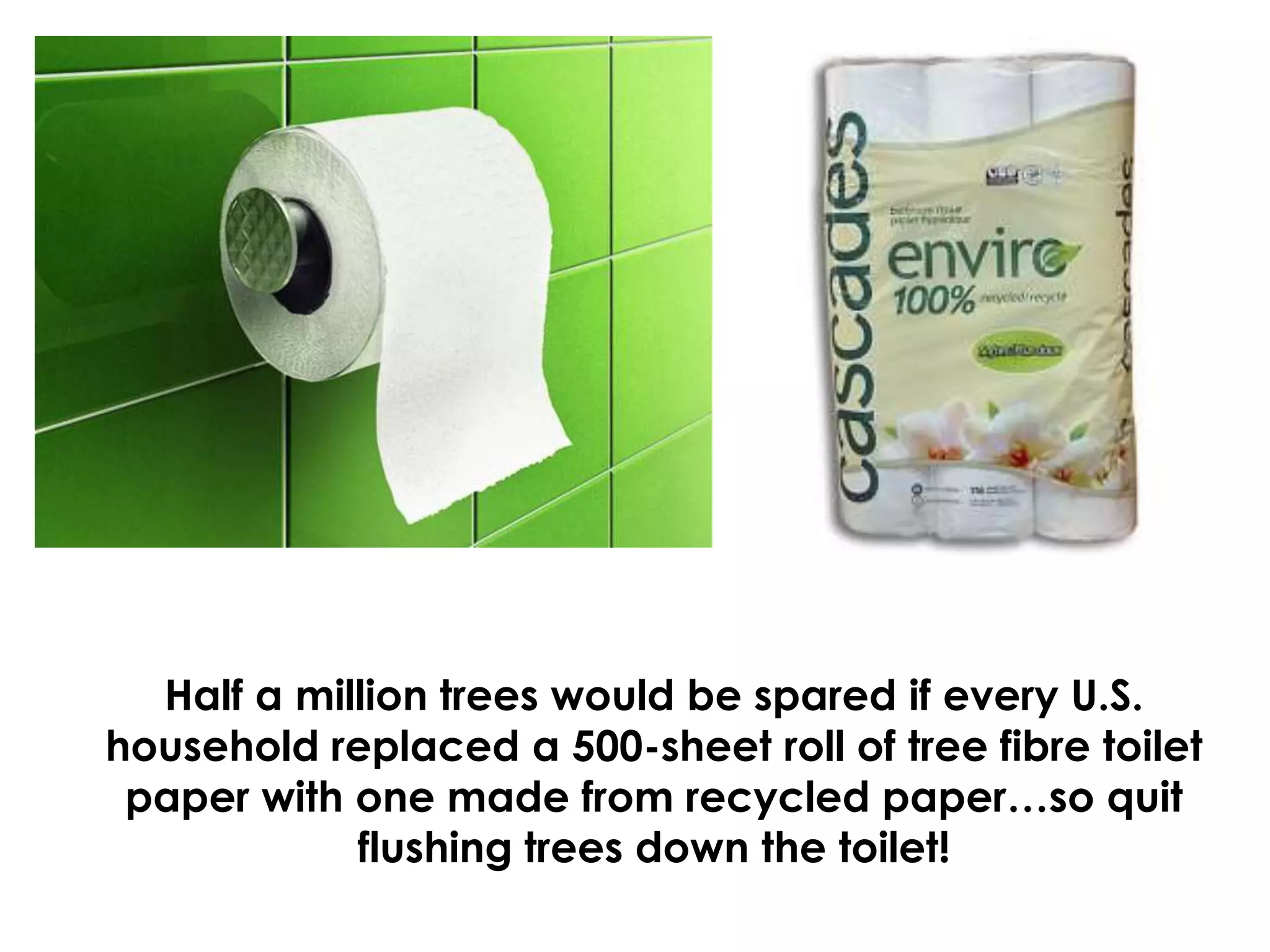 Half a million trees would be spared if every U.S. household replaced a 500-sheet roll of tree fibre toilet paper with one made from recycled paper…so quit flushing trees down the toilet!