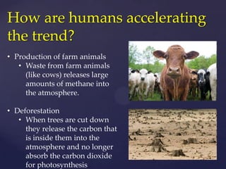How are humans accelerating the trend?Global Warming is caused by the inability of the Sun’s heat to escape our atmosphere.