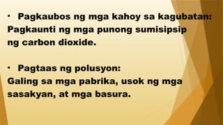 • Pagkaubos ng mga kahoy sa kagubatan:
Pagkaunti ng mga punong sumisipsip
ng carbon dioxide.
• Pagtaas ng polusyon:
Galing sa mga pabrika, usok ng mga
sasakyan, at mga basura.
 