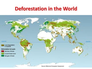 Deforestation in the World