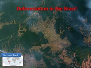 Deforestation in the BrazilRondonia, Brazil