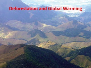 Deforestation and Global Warming