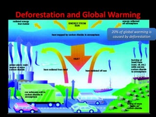 Deforestation and Global Warming20% of global warming is caused by deforestation