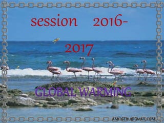 session 2016-
2017
AMITGEHU@GMAIL.COM
 