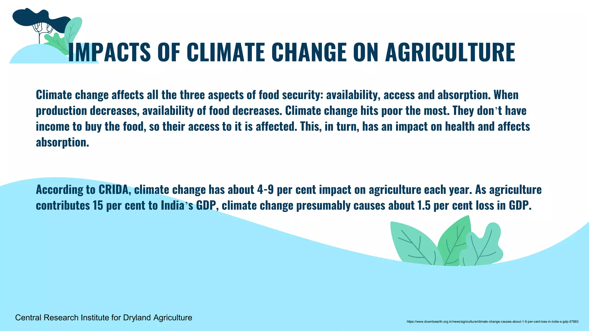 Climate change affects all the three aspects of food security: availability, access and absorption. When
production decreases, availability of food decreases. Climate change hits poor the most. They don’t have
income to buy the food, so their access to it is affected. This, in turn, has an impact on health and affects
absorption.
According to CRIDA, climate change has about 4-9 per cent impact on agriculture each year. As agriculture
contributes 15 per cent to India’s GDP, climate change presumably causes about 1.5 per cent loss in GDP.
IMPACTS OF CLIMATE CHANGE ON AGRICULTURE
https://www.downtoearth.org.in/news/agriculture/climate-change-causes-about-1-5-per-cent-loss-in-india-s-gdp-57883
Central Research Institute for Dryland Agriculture
 