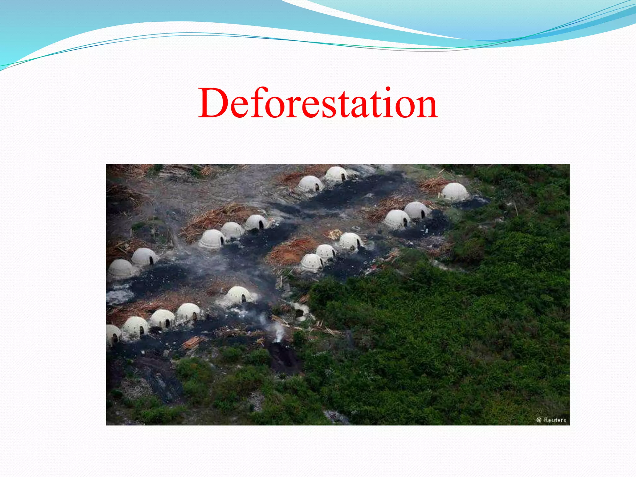 Deforestation
 
