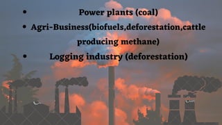 Power plants (coal)
Agri-Business(biofuels,deforestation,cattle
producing methane)
Logging industry (deforestation)
 