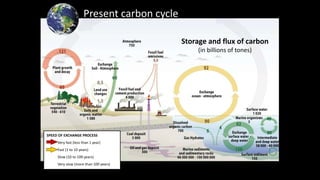 Present carbon cycle
SPEED OF EXCHANGE PROCESS
Very fast (less than 1 year)
Fast (1 to 10 years)
Slow (10 to 100 years)
Very slow (more than 100 years)
Storage and flux of carbon
(in billions of tones)
 