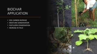 BIOCHAR
APPLICATION
• SOIL CARBON INCREASE
• MOISTURE CONSERVATION
• FERTILIZERS CONSERVATION
• INCREASE IN YIELD
 