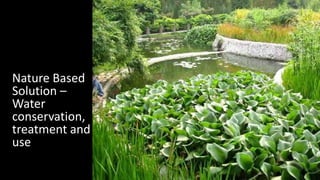 Nature Based
Solution –
Water
conservation,
treatment and
use
 