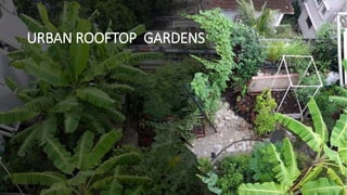 URBAN ROOFTOP GARDENS
 
