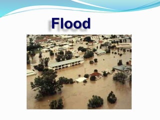 Flood
 