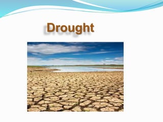 Drought
 