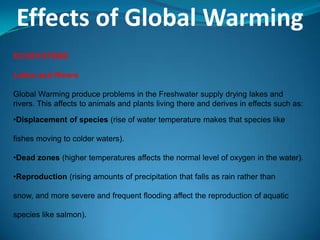 Effects of Global Warming
ECOSYSTEMS
Lakes and Rivers
Global Warming produce problems in the Freshwater supply drying lakes and
rivers. This affects to animals and plants living there and derives in effects such as:
•Displacement of species (rise of water temperature makes that species like
fishes moving to colder waters).
•Dead zones (higher temperatures affects the normal level of oxygen in the water).
•Reproduction (rising amounts of precipitation that falls as rain rather than
snow, and more severe and frequent flooding affect the reproduction of aquatic
species like salmon).
 