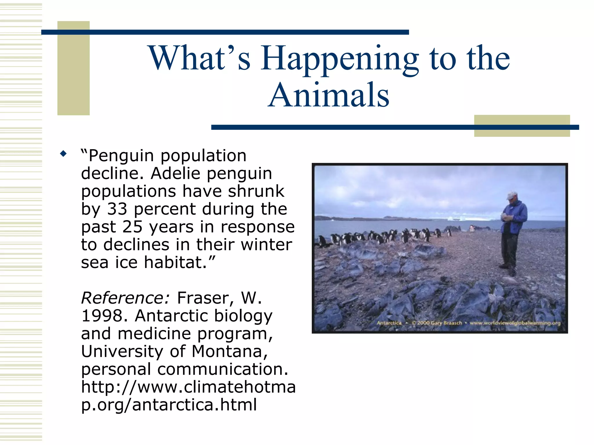 What’s Happening to the
Animals
 “Penguin population
decline. Adelie penguin
populations have shrunk
by 33 percent during the
past 25 years in response
to declines in their winter
sea ice habitat.”
Reference: Fraser, W.
1998. Antarctic biology
and medicine program,
University of Montana,
personal communication.
http://www.climatehotma
p.org/antarctica.html
 