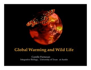 Global Warming and Wild Life
Camille Parmesan
Integrative Biology, University of Texas at Austin
 