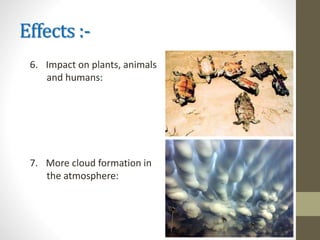 Effects :-
6. Impact on plants, animals
and humans:
7. More cloud formation in
the atmosphere:
 
