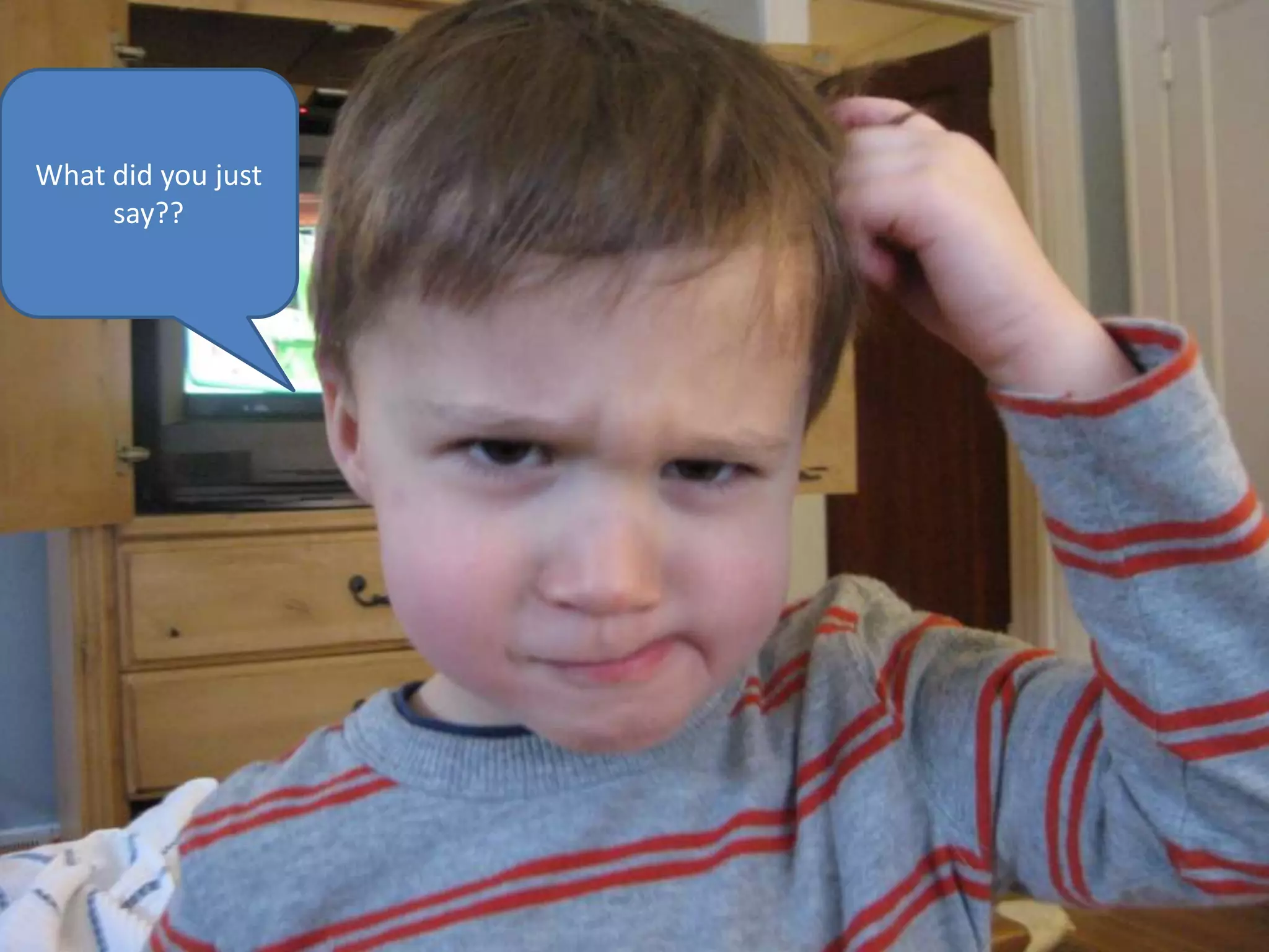 What did you just
     say??
 