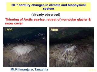 Mt.Kilimanjaro, Tanzania
1993 2000
IUCN
Thinning of Arctic sea-ice, retreat of non-polar glacier &
snow cover
20 th century changes in climate and biophysical
system
(already observed)
 